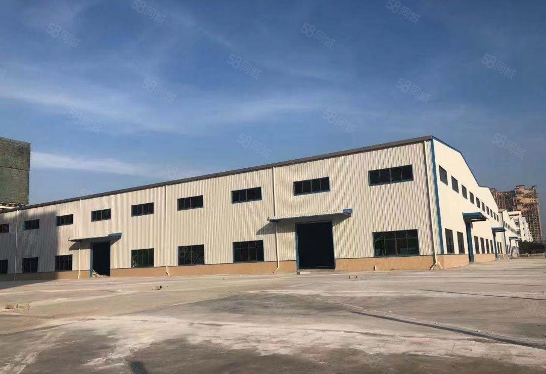 大亚湾全新钢构厂房滴水12米，4万平方出租