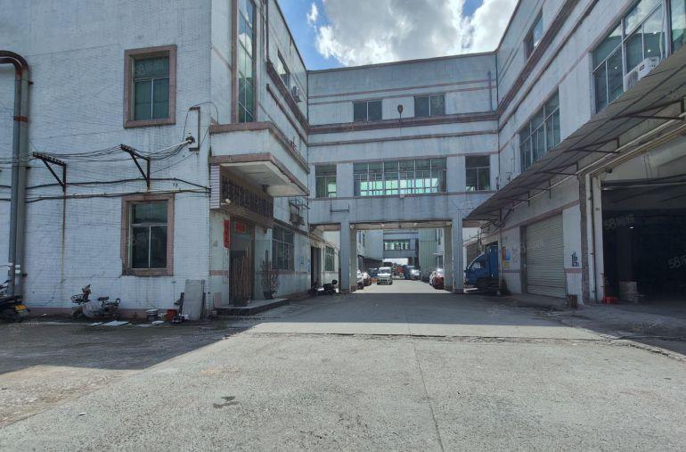 大亚湾澳头1500平方红本厂房仓库出租 可分租 方便进车