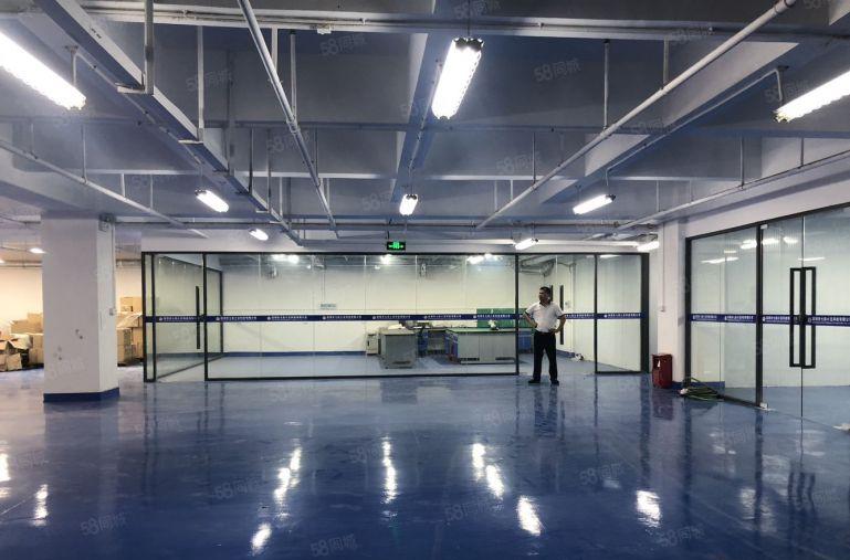 临深大亚湾新出原房东现成装修2000平厂房仓库低价8元出租