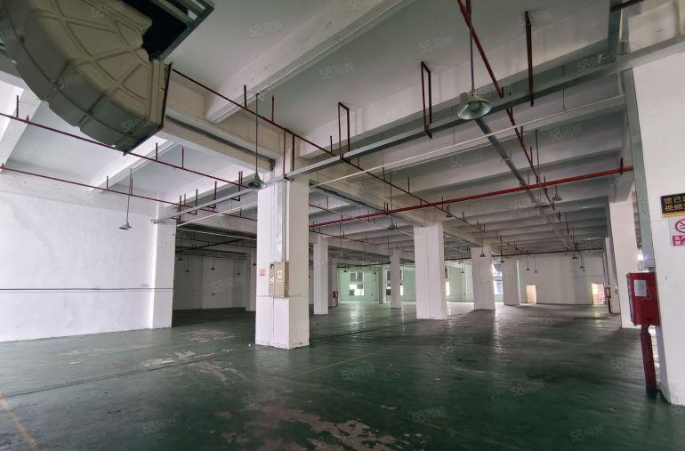 大亚湾中心区独院原房东厂房一楼6045平层高6.8米有红本