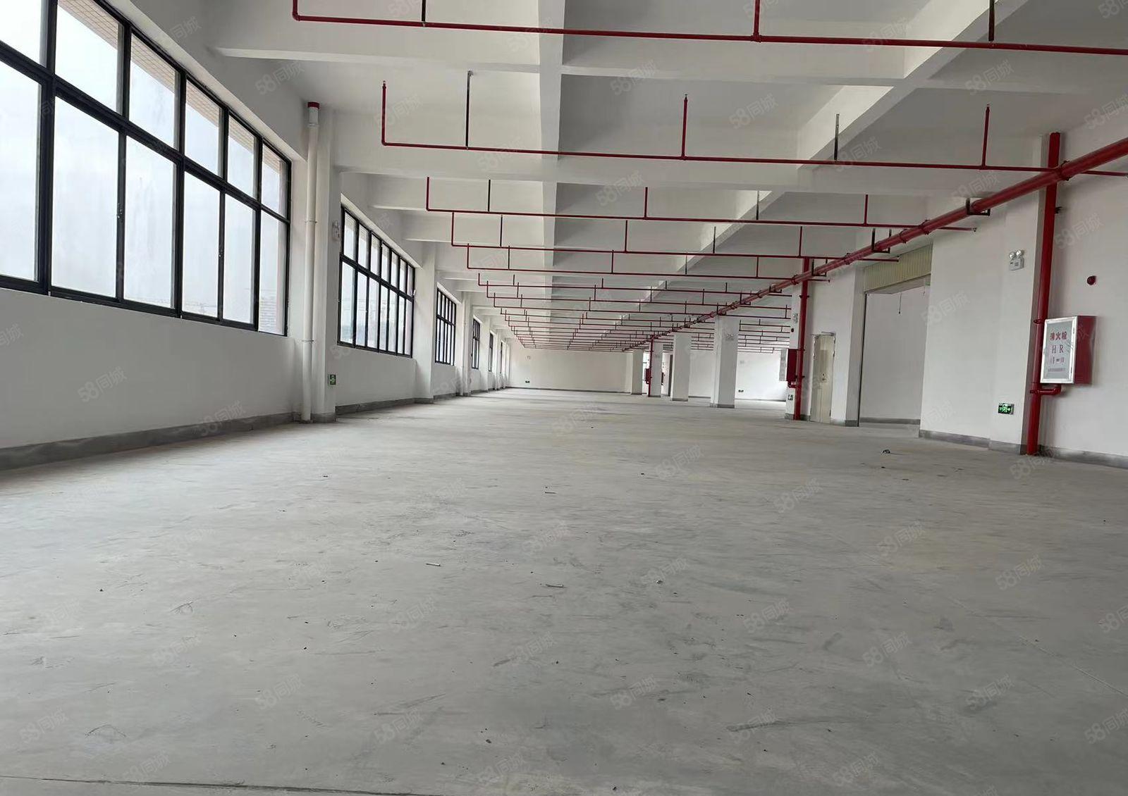 原房东实量面积厂房出租惠阳大亚湾2.4万平16元仓库出租分租