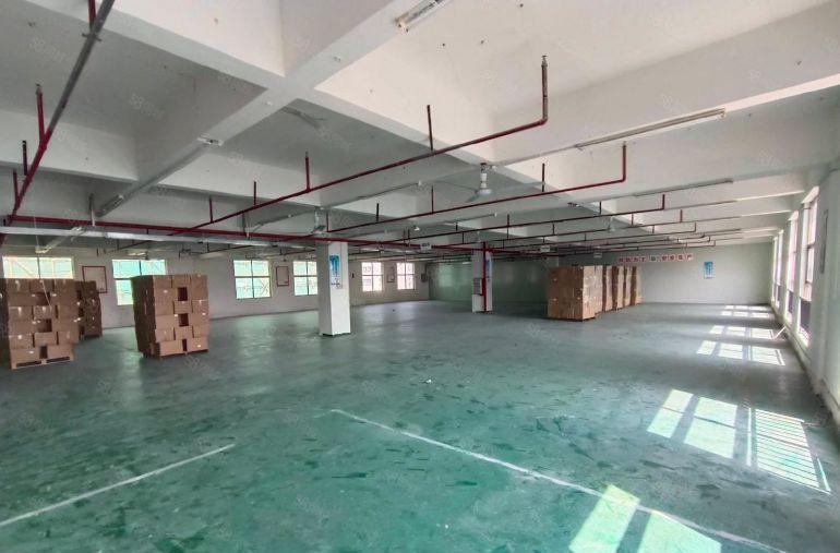 9元厂房，700平带装修 原房东仓库厂房出租 高使用率