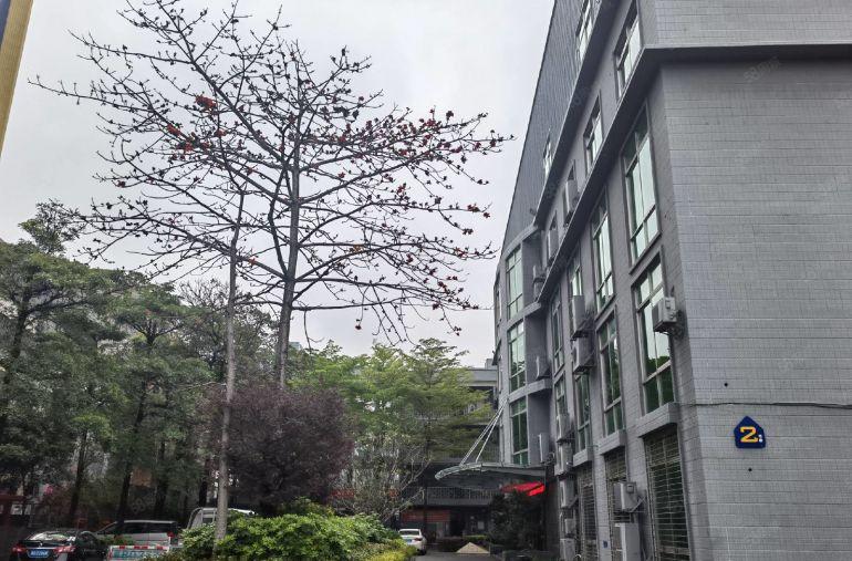 惠阳大亚湾西区楼上厂房出租850平现成地坪漆办公室