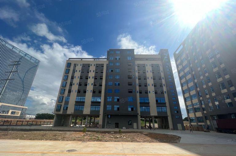 10元起租！大亚湾新出原房东2000平厂房仓库低价出租空地大