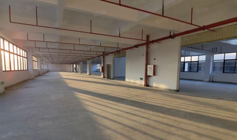 惠阳大亚湾500平原房东标准低价厂房出租，现成精装修有红本