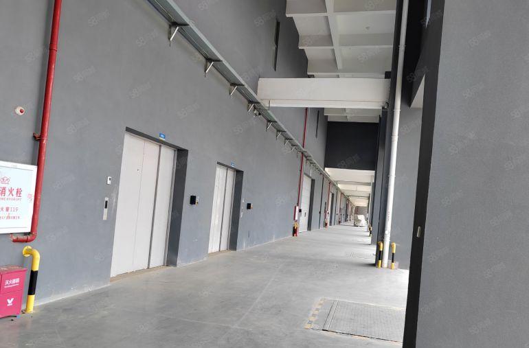 8元8元大亚湾原房东厂房带精低价出租可分租