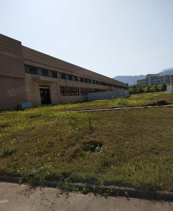 大亚湾西区8米高钢构厂房20000平米出租