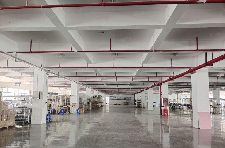 大亚湾西区原房东低价厂房仓库2500平出租，300平起分