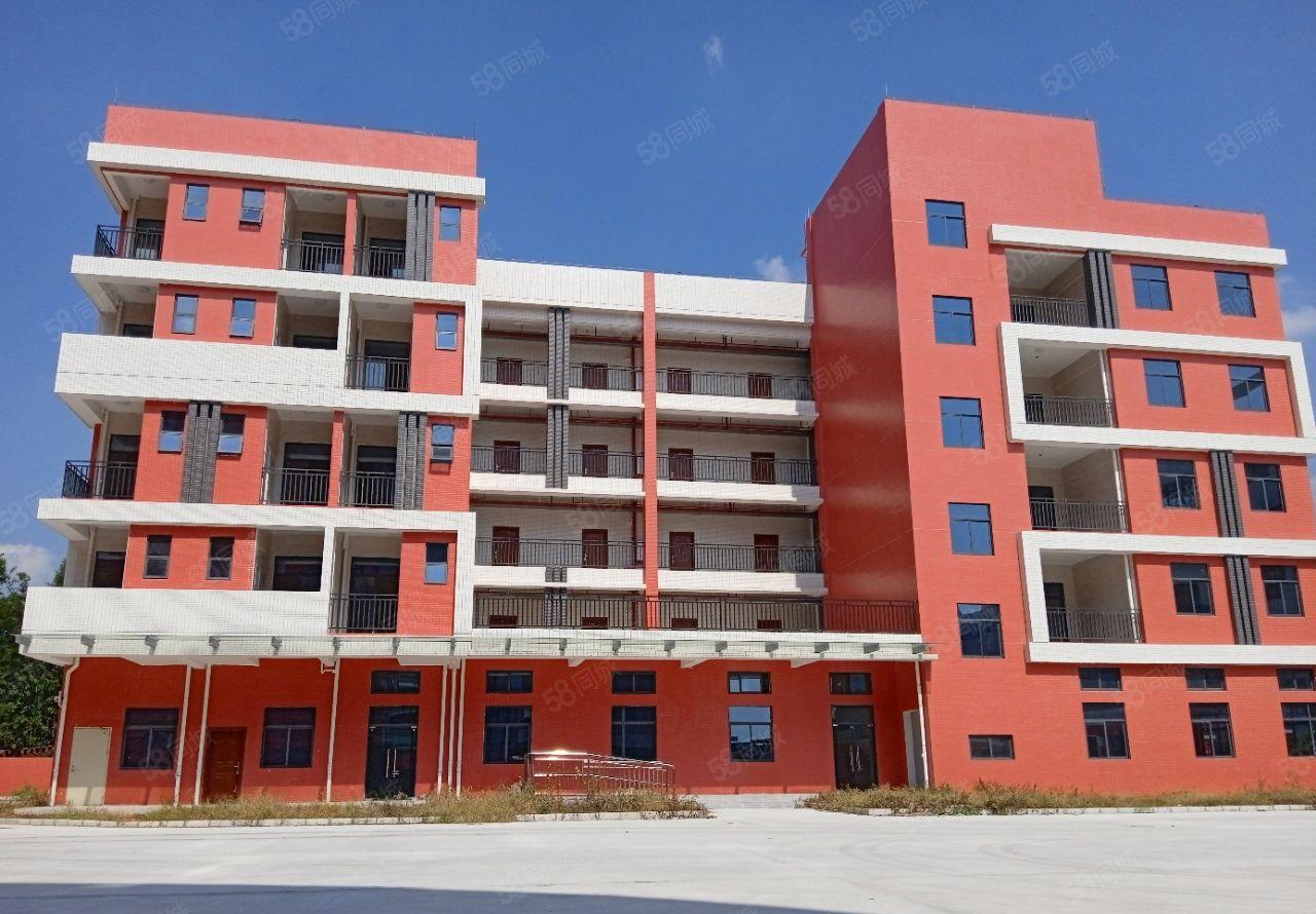 形象超好！一手自建全新红本独院厂房20000平米18块出租