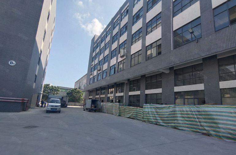 惠州大亚湾西区全新厂房招租，单价低至15元高6.34.9米