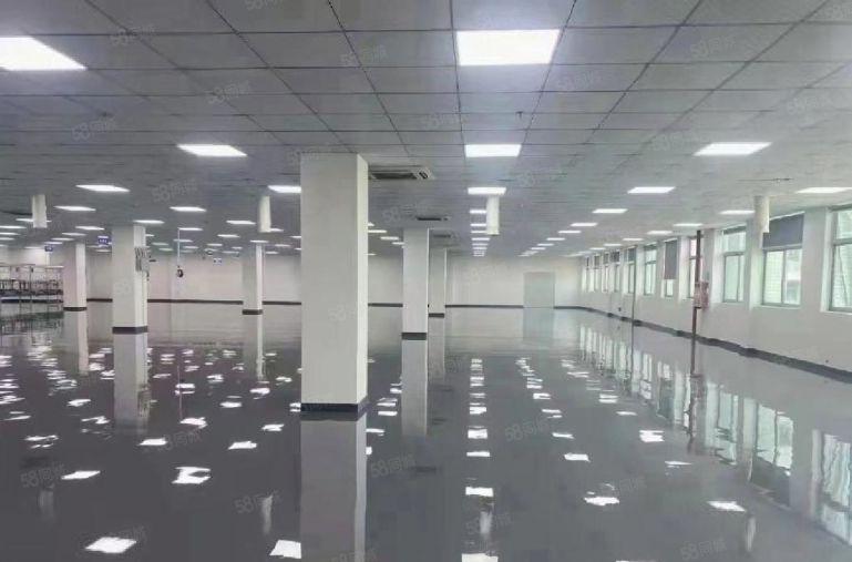 惠州特价10元现成装修 临深万达商圈 生活方便 响水河工业园