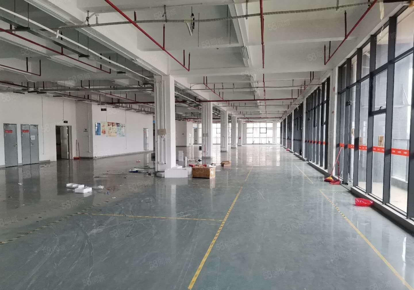 大亚湾西区红本厂房1楼2楼各1300平米，可分租，形像好