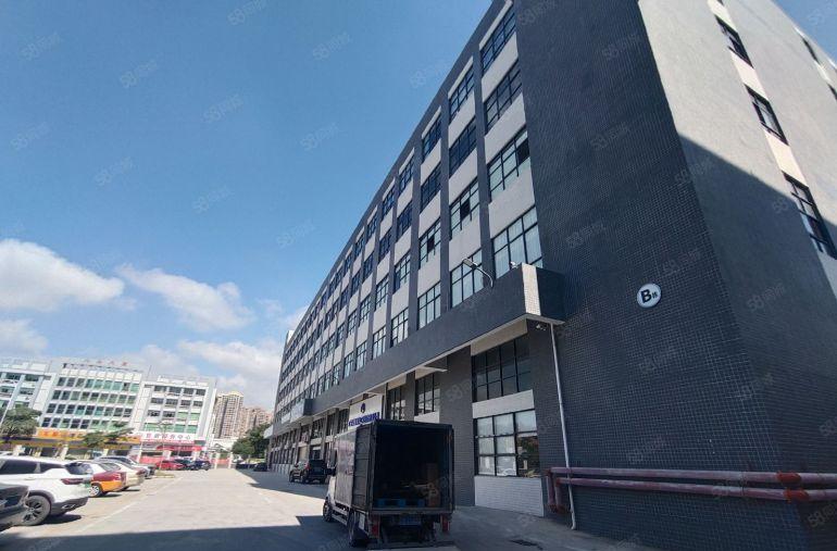 惠州大亚湾西区全新厂房招租，单价低至15元高6.34.9米