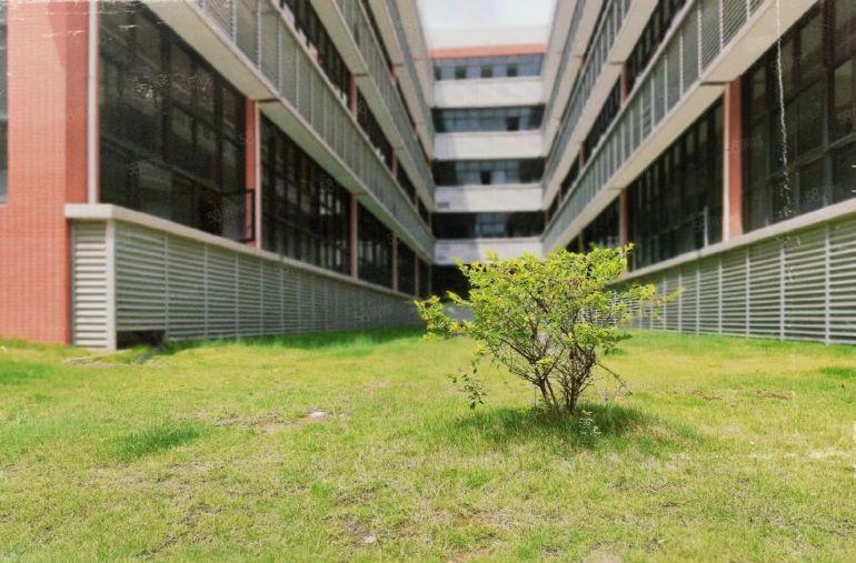 7块大亚湾西区楼上5楼厂房仓库1000起租