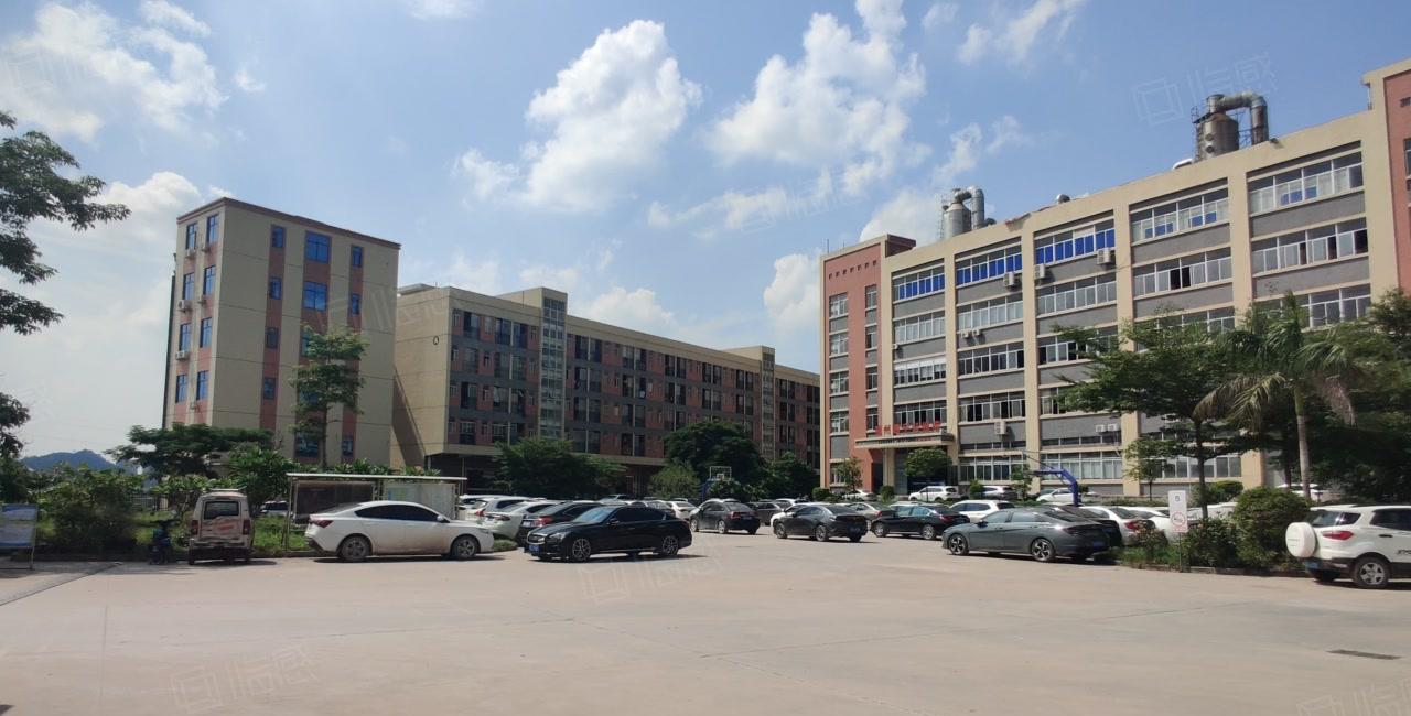 6元原房东大亚湾中心区200平起租无公摊一楼仓库厂房出租