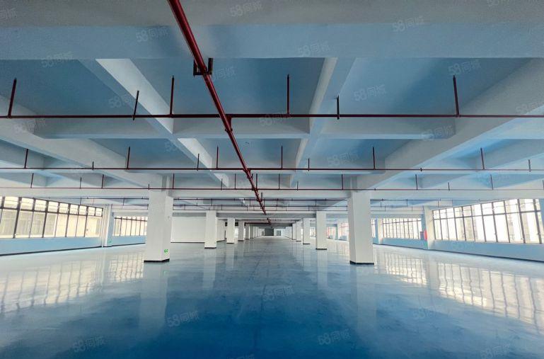 6元钱特价带地坪漆大小可分形象好原房东2000平厂房出租