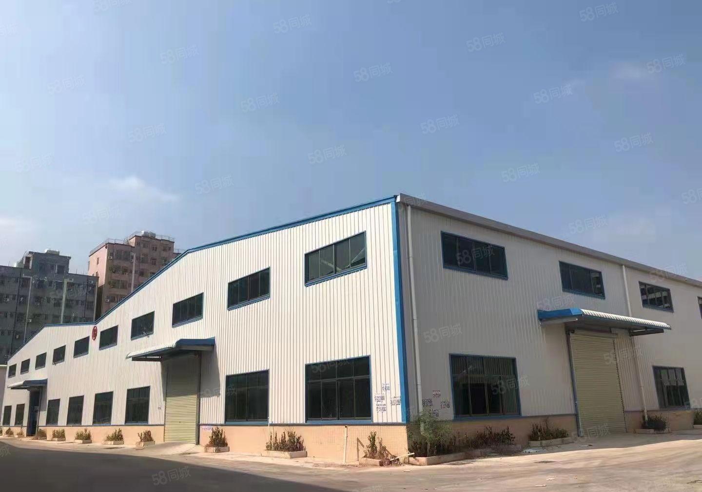 大亚湾全新钢构厂房滴水12米，4万平方出租