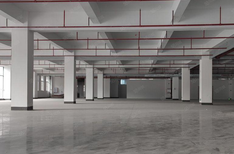 10元！大亚湾临深全新2000平楼上标准厂房仓库出租，可分租