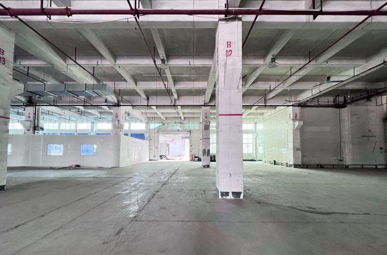 惠州市大亚湾原房东红本8米高单层5000平厂房出租可分租