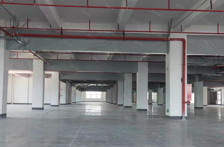 惠阳大亚湾临深全新红本厂房150平起分租