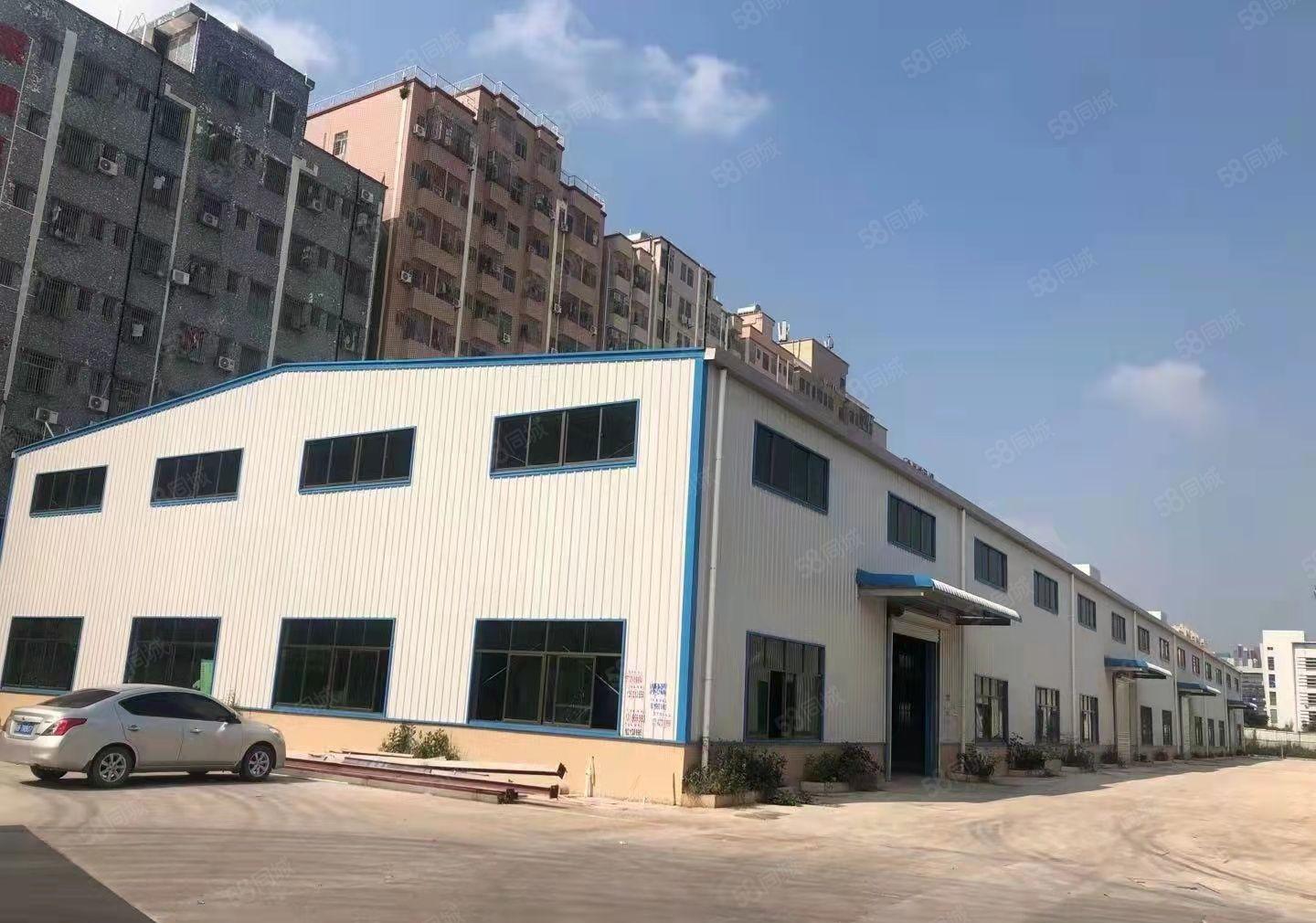 大亚湾全新钢构厂房滴水12米，4万平方出租