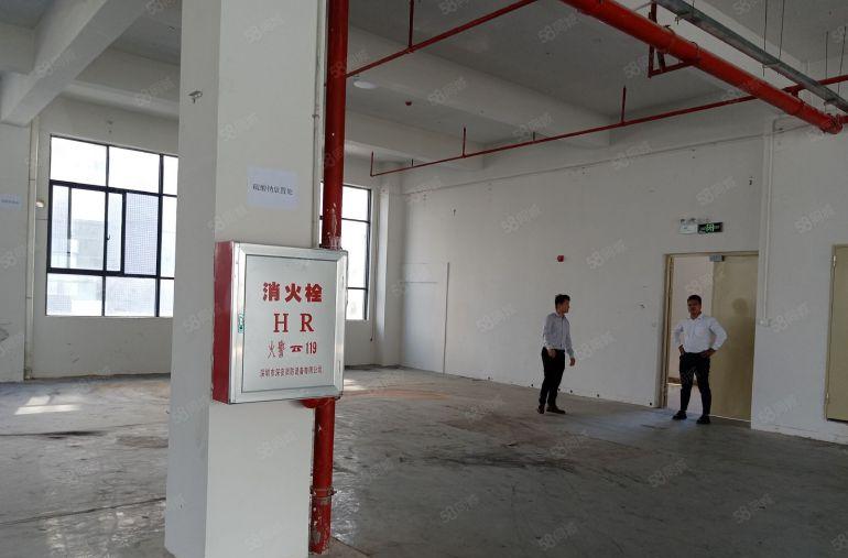 惠州大亚湾比亚迪旁全新厂房特价11元平招租