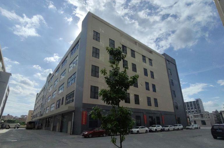 大亚湾全新标准厂房出租整层4200平电梯五吨3年不递增原房东