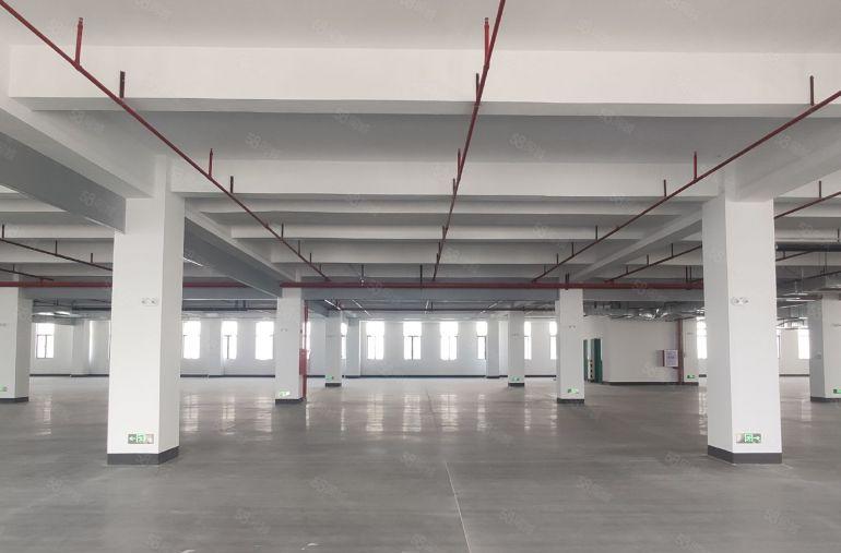 10元！大亚湾临深全新2000平楼上标准厂房仓库出租，可分租