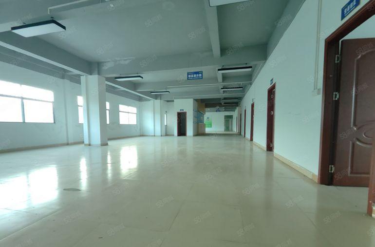 9块！临深大亚湾1600平原房东红本厂房仓库出租可分租