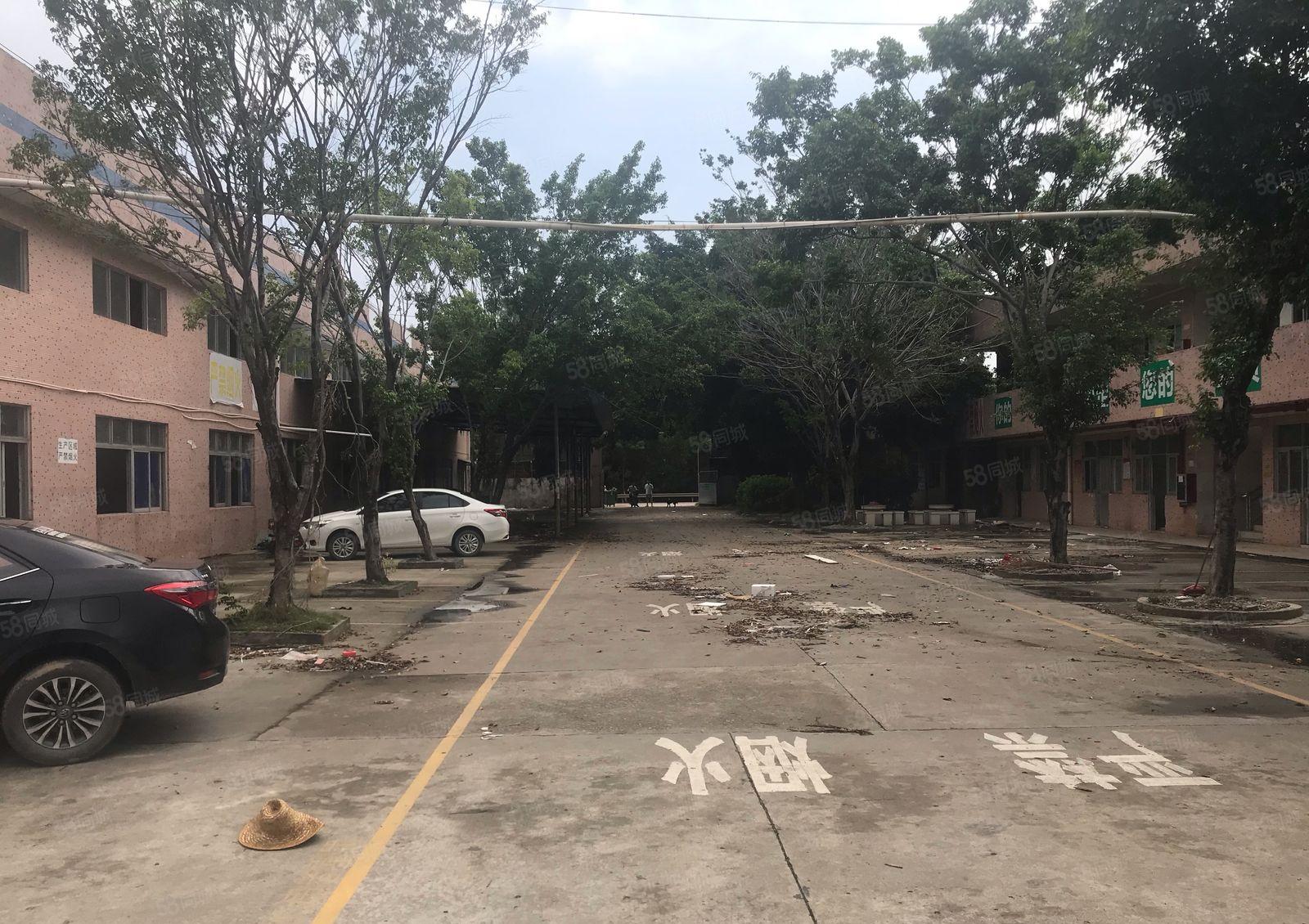 大亚湾工业区原房东钢构800平1200平出租