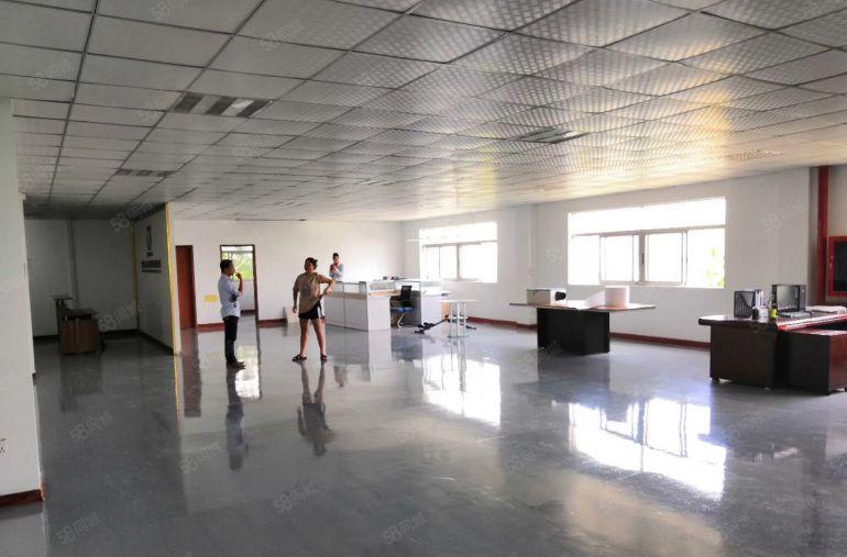 亚湾临深楼上新出600平装修办公室仓库厂房出租