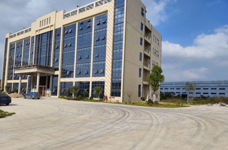 惠州大亚湾西区年底特价8.8元红本精美园区厂房直租