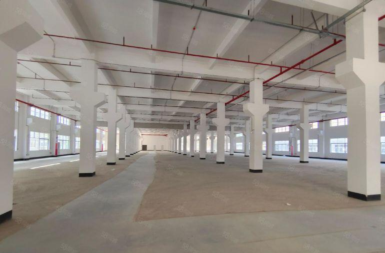 500平米起租大亚湾西区红本重工业厂房出租周边人流大好招工