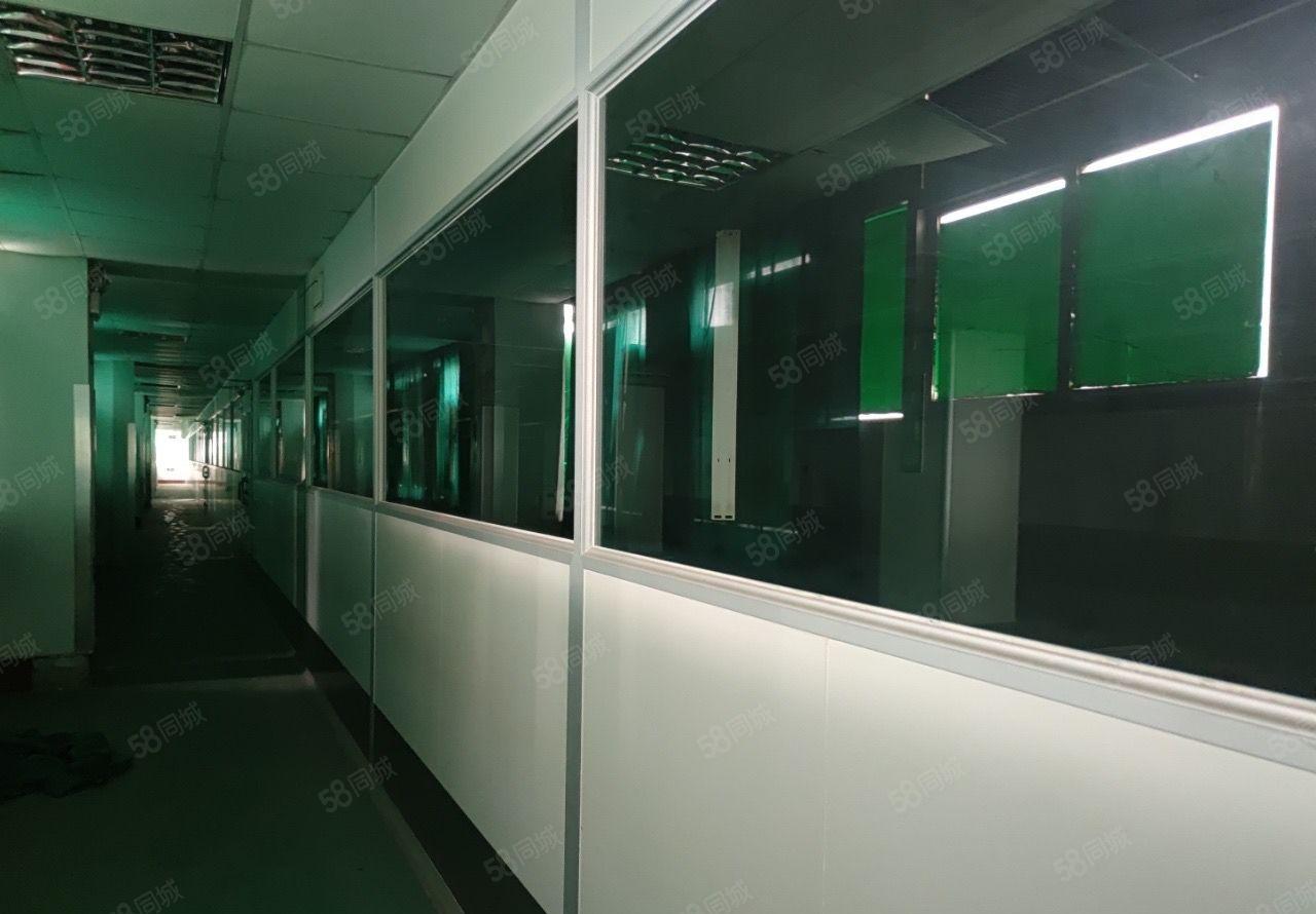 (带装修)大亚湾科技园工业园厂房1000平可分租形象好