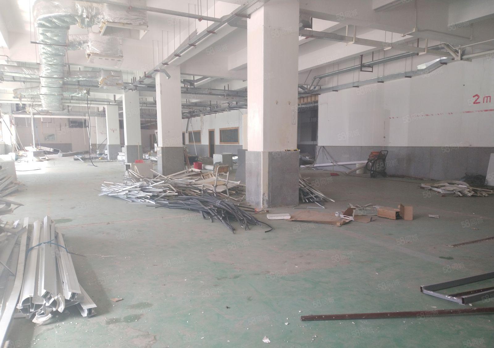 龙山四路厂房出租10元平起租