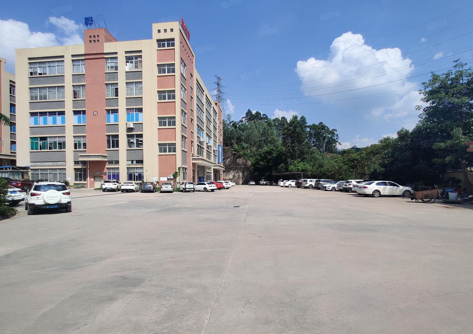 6元原房东大亚湾中心区200平起租无公摊一楼仓库厂房出租