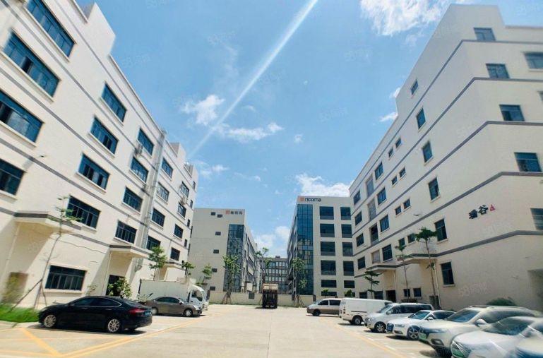 整层3000平，10元一平，带精装修，无转让费，原房东厂房