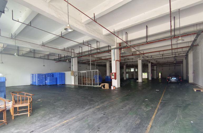 大亚湾中心区独院原房东厂房一楼6045平层高6.8米有红本