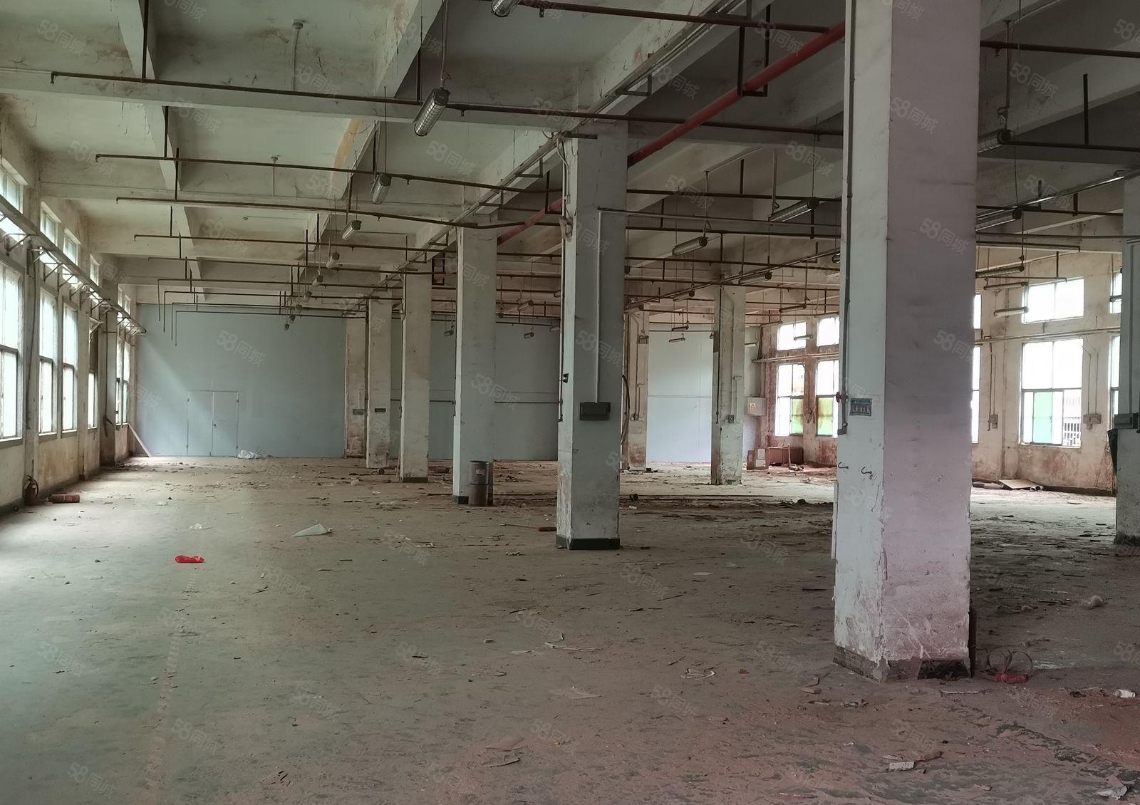 大亚湾塘布花园式独院厂房12000平 临深500米不靠居民区