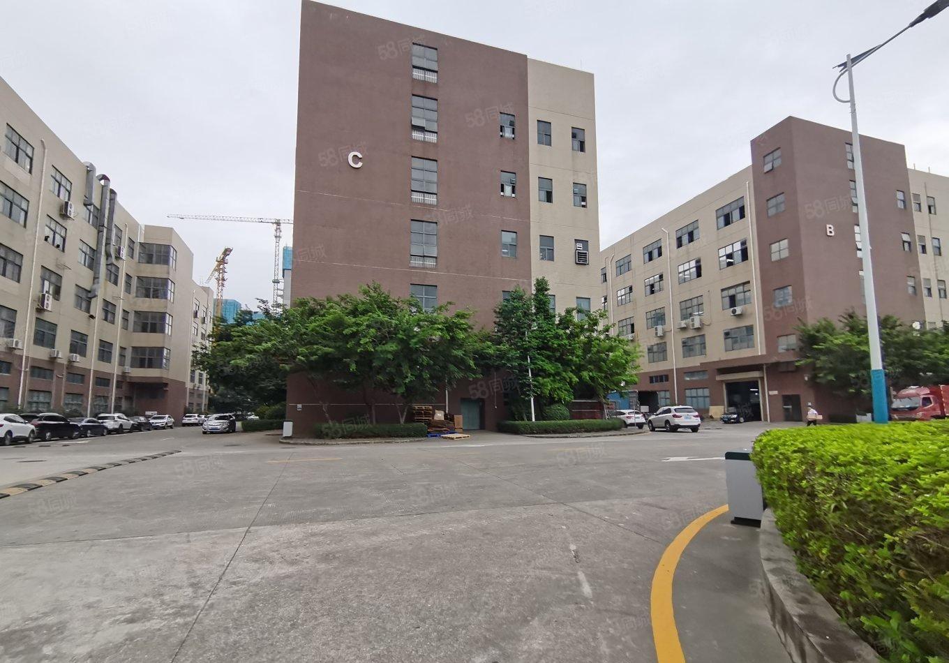 大亚湾西区红本标准厂房一楼2楼各2000平米，可分租，形像好