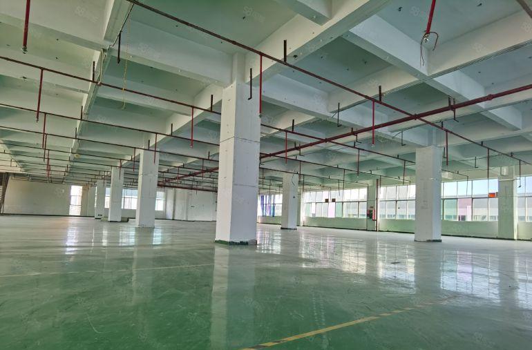 200平米起租！大亚湾西区大工业园区厂房200平至2000平