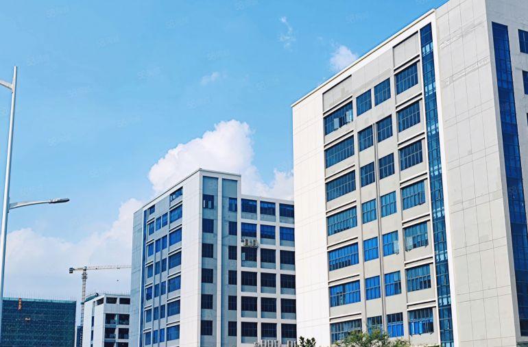 14.5元大亚湾西区有办公室，地平漆，面积2000平米.