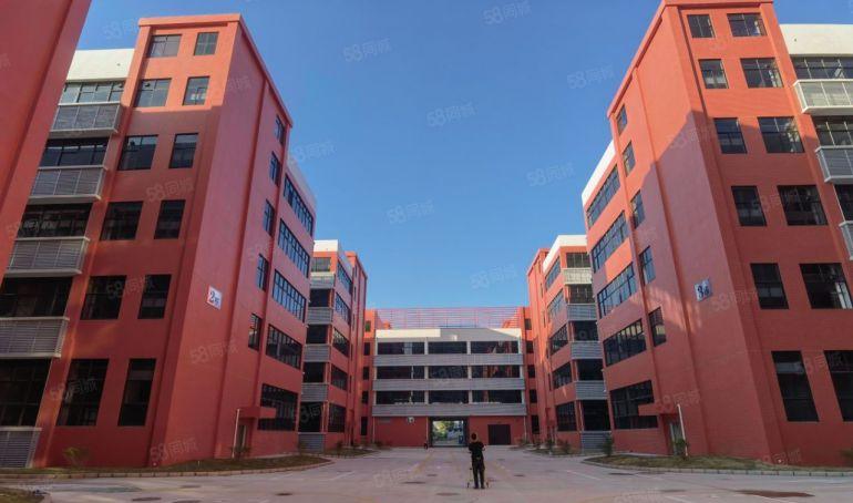 临深片区原房东红本工业厂房8元，不限制行业100平起分