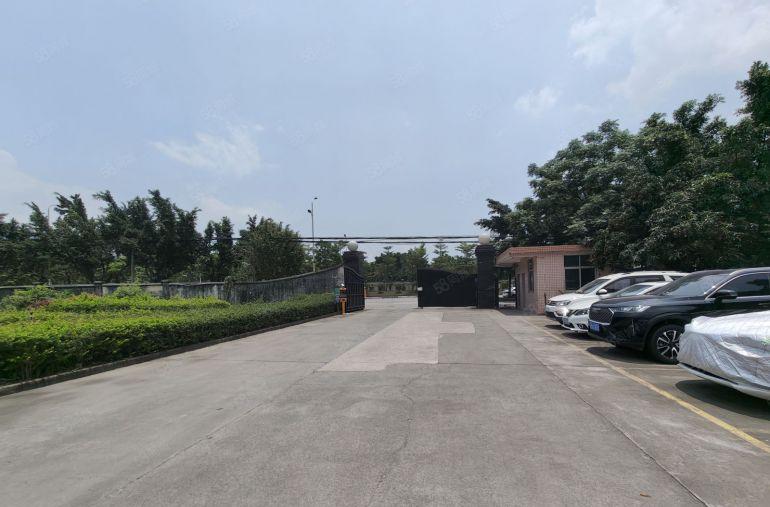 大亚湾临坪山5000千平方单一层红本厂房仓库出租 可分租