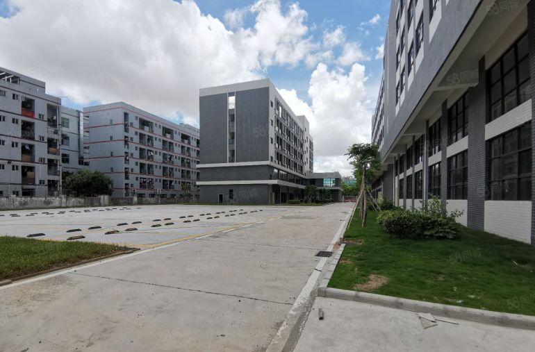 300平方起租大亚湾响水河工业区全新红本厂房低价出租