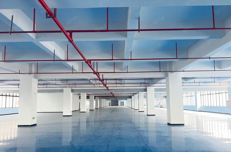 10元大亚湾新厂房200平起分帮隔墙带地坪漆厂房仓库低价出租