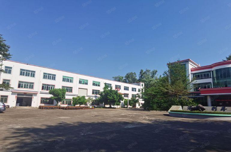 大亚湾西区原房东低价厂房仓库2500平出租，300平起分