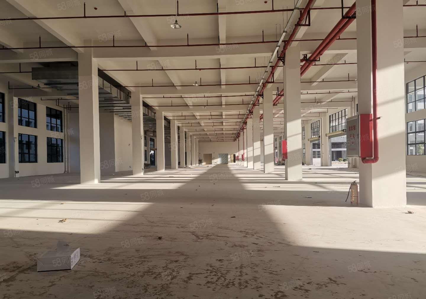 大亚湾西区22000平米全新红本厂房出租，可分租