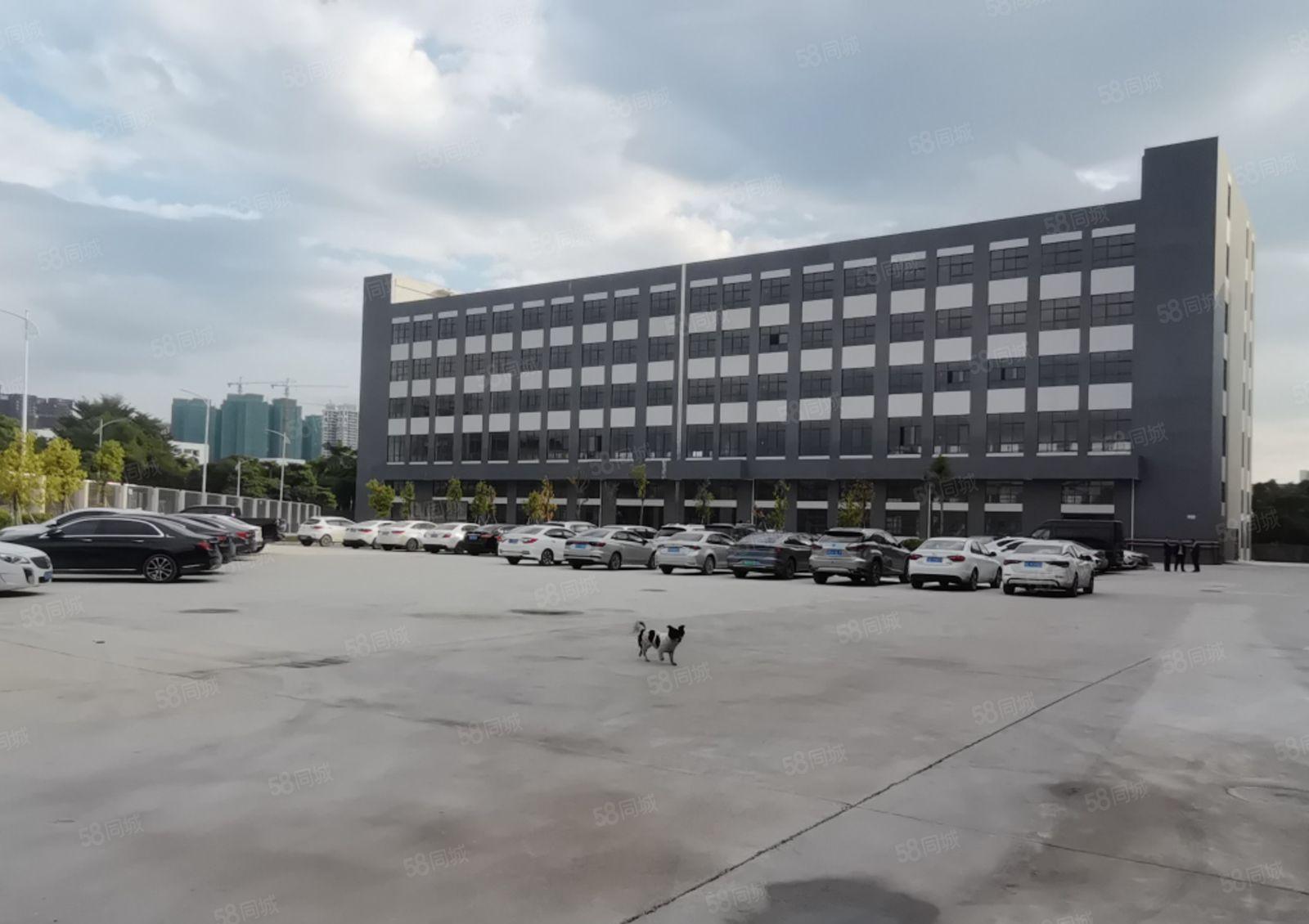 大亚湾一楼和楼上招租形象好空地大免租期长