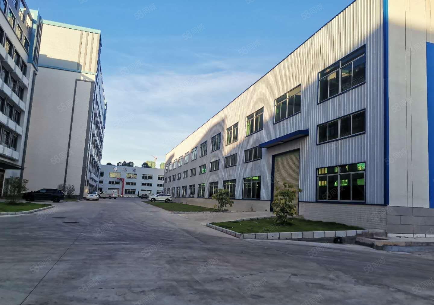 惠州大亚湾西区原房东红本全新钢结构厂房独栋2000平米出租